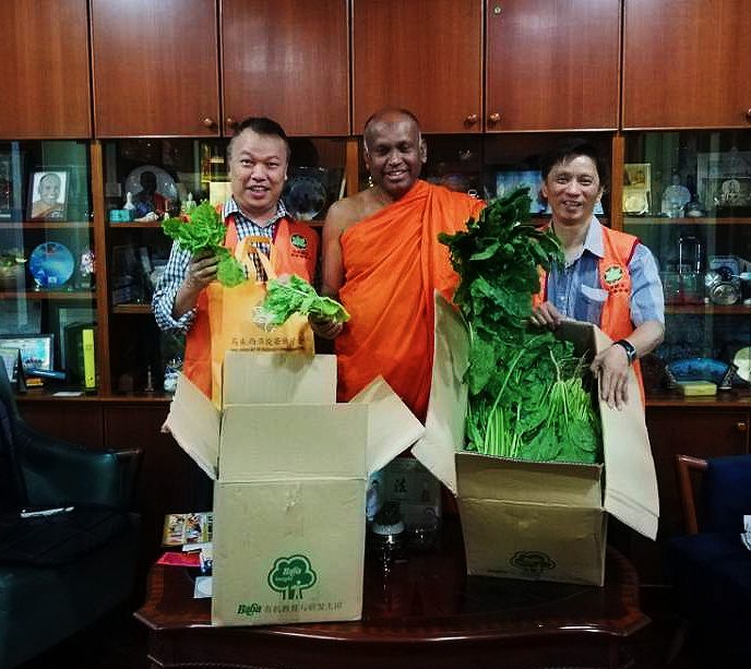 Malaysia Bo Re Buddhist Organization Charity Organic Vegetable Donation 18