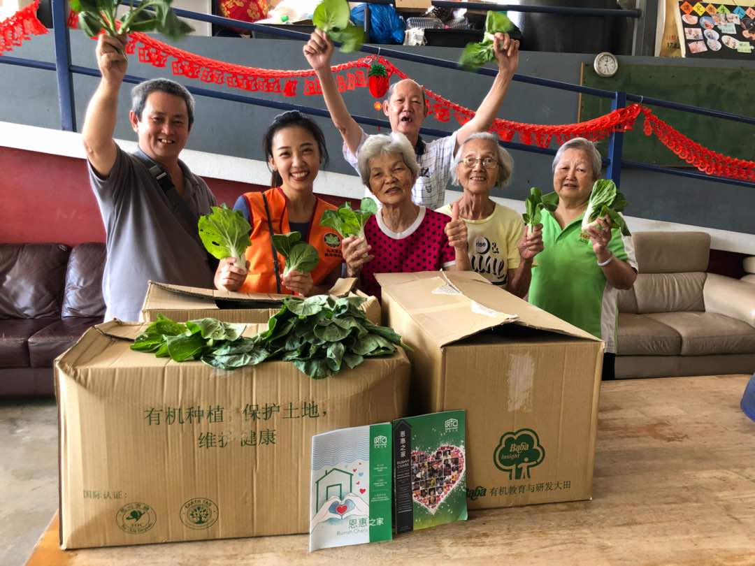Malaysia Bo Re Buddhist Organization Charity Organic Vegetable Donation 8