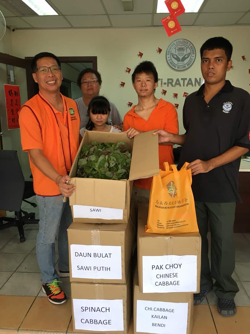 Malaysia Bo Re Buddhist Organization Charity Organic Vegetable Donation 1